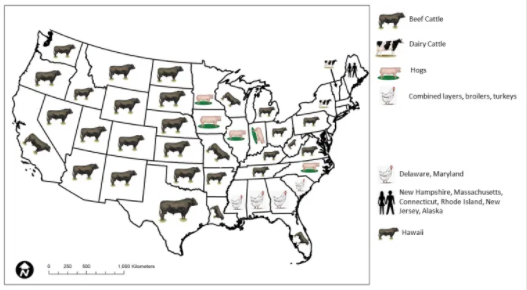 Map showing the U.S. states that are the largest producers of livestock fecal matter