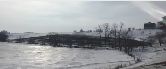 Manure applied to an Iowa farm field in winter