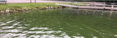 A pier reaches into a green lake