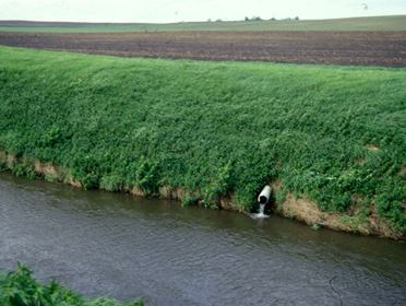 An Iowa field drains into a full drainage ditch from a small pipe