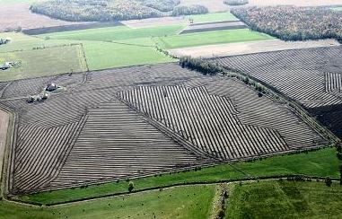 Aerial view of a newly-tiled field. The stripes are incredibly straight and make an abstract pattern