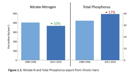 Graph of the nitrate and phosphorous export from IL rivers