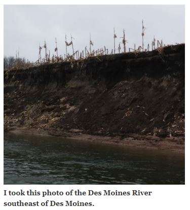 Des Moines River with falling corn