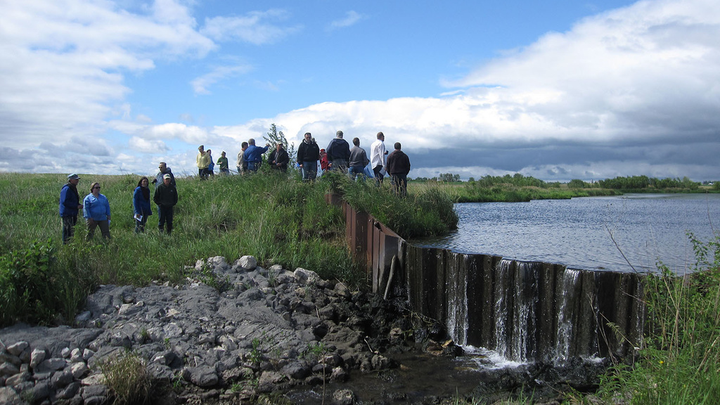 A group of people check out a constructed wetland