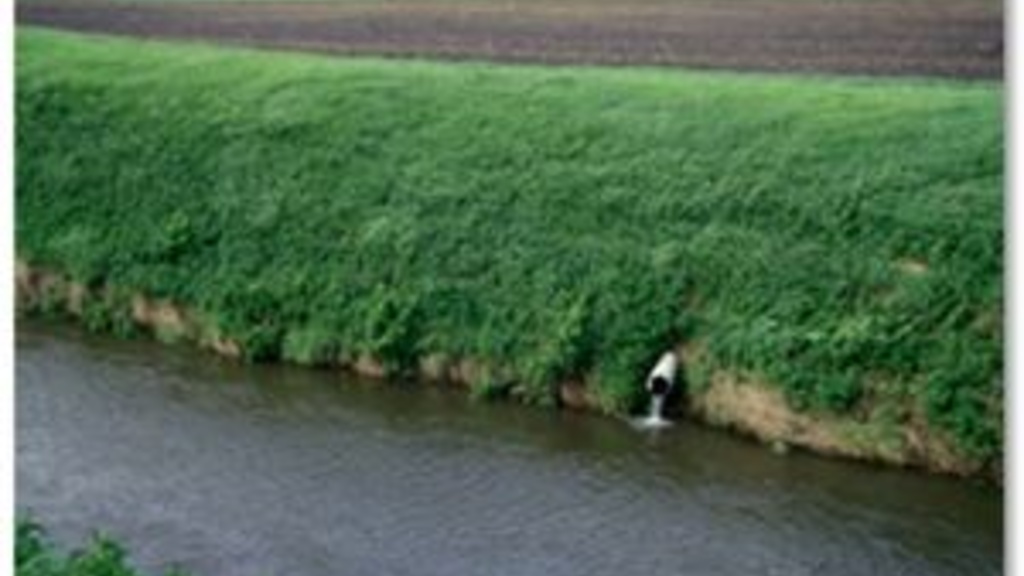 A stream bank with green grass